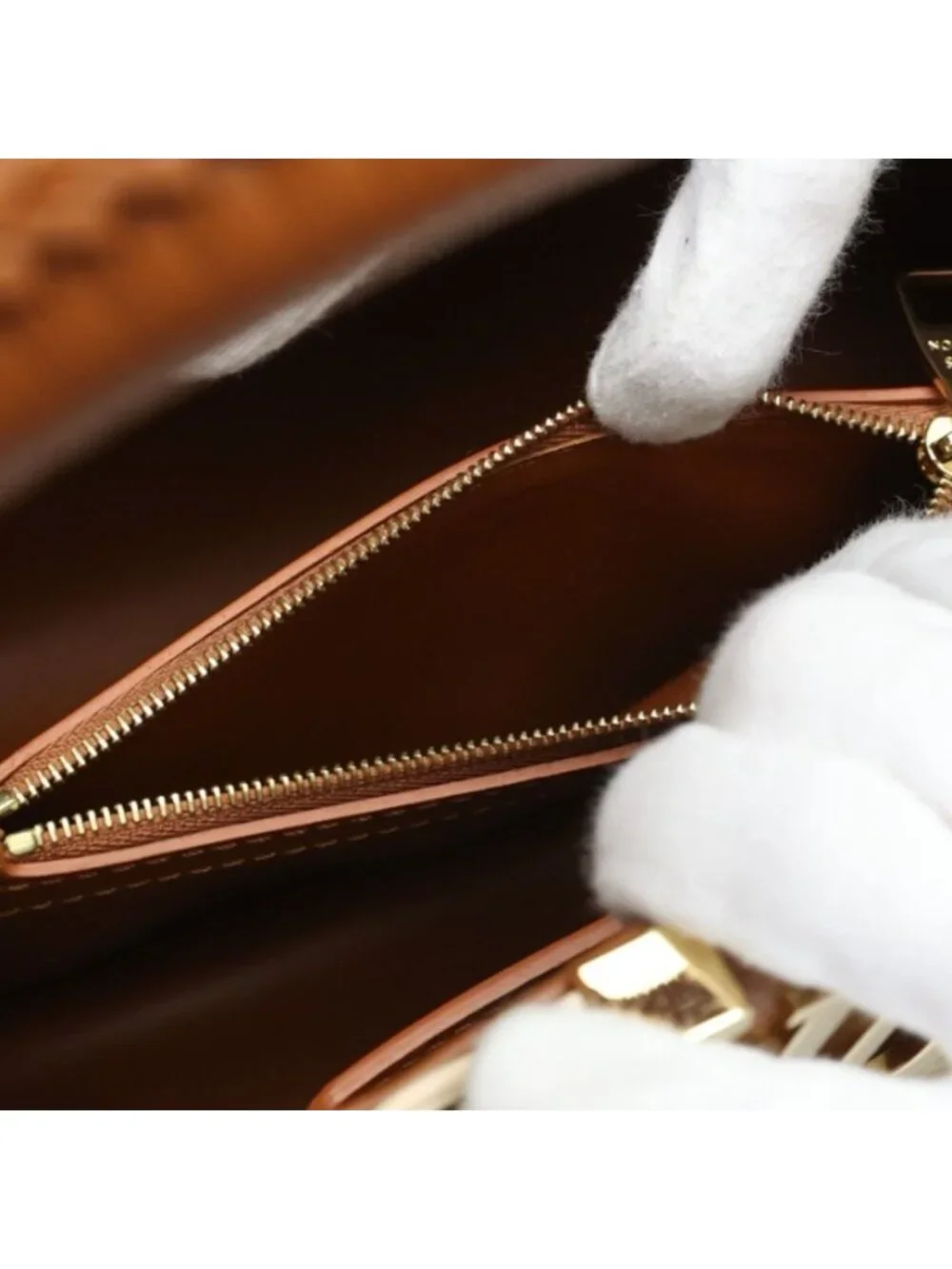 Louis Vuitton brand louis